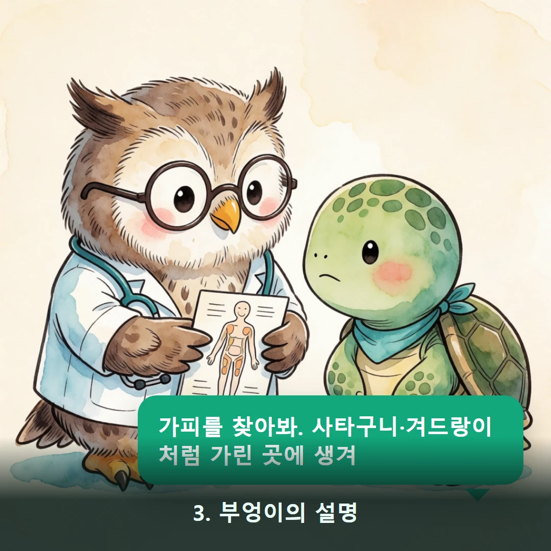 웹툰 3컷 — 3. 부엉이의 설명 (가피를 찾아봐. 사타구니·겨드랑이처럼 가린 곳에 생겨)