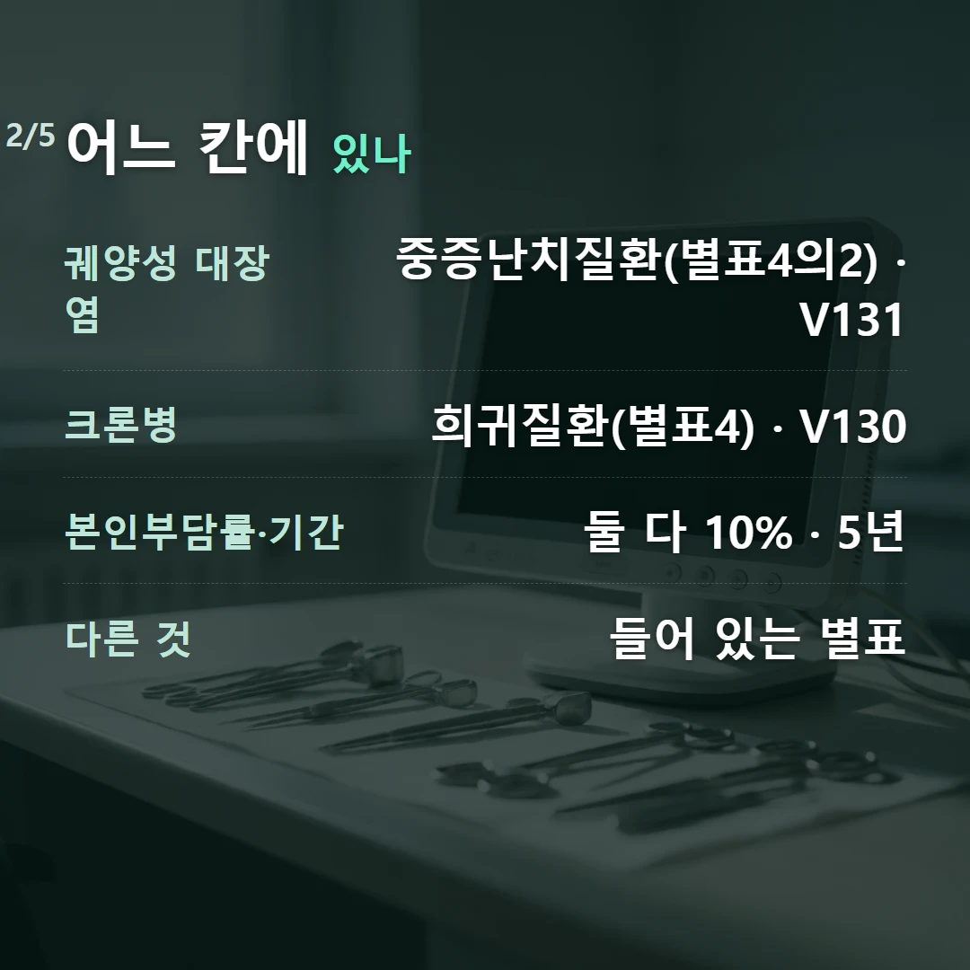 어느 칸에 있나 — 궤양성 대장염 중증난치질환(별표4의2) · V131, 크론병 희귀질환(별표4) · V130, 본인부담률·기간 둘 다 10% · 5년, 다른 것 들어 있는 별표