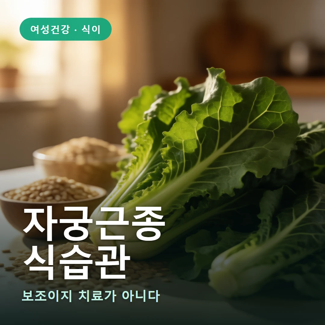 자궁근종 식습관 요약 표지 — 보조이지 치료가 아니다