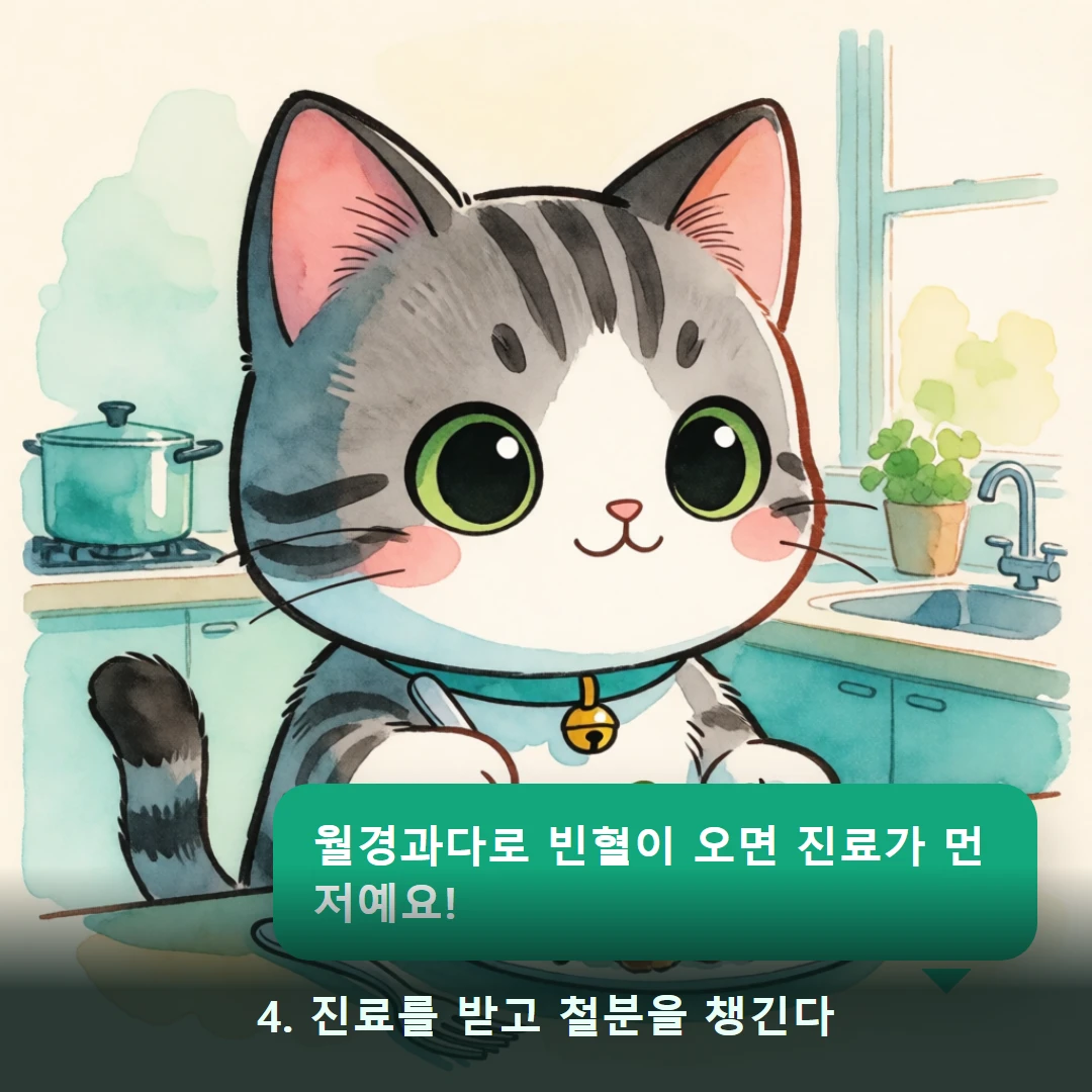 웹툰 4컷 — 4. 진료를 받고 철분을 챙긴다 (월경과다로 빈혈이 오면 진료가 먼저예요!)