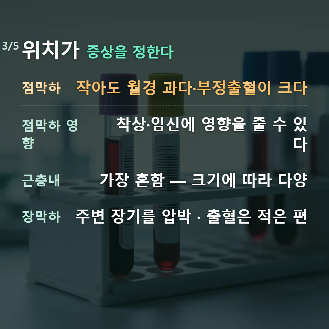 위치가 증상을 정한다 — 점막하 작아도 월경 과다·부정출혈이 크다, 점막하 영향 착상·임신에 영향을 줄 수 있다, 근층내 가장 흔함 — 크기에 따라 다양, 장막하 주변 장기를 압박 · 출혈은 적은 편