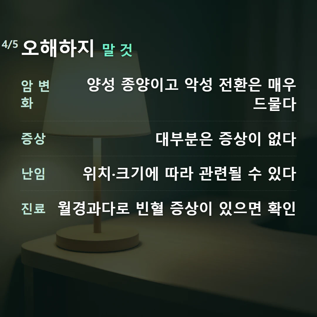 오해하지 말 것 — 암 변화 양성 종양이고 악성 전환은 매우 드물다, 증상 대부분은 증상이 없다, 난임 위치·크기에 따라 관련될 수 있다, 진료 월경과다로 빈혈 증상이 있으면 확인