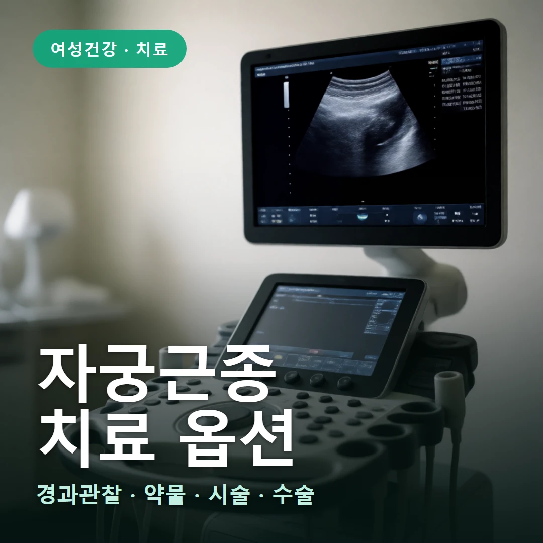 자궁근종 치료 요약 표지 — 경과관찰 · 약물 · 시술 · 수술