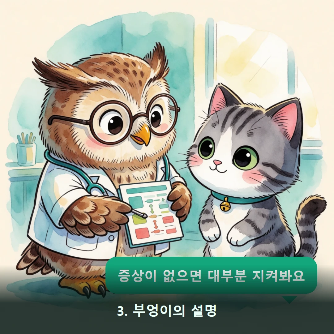 웹툰 3컷 — 3. 부엉이의 설명 (증상이 없으면 대부분 지켜봐요)
