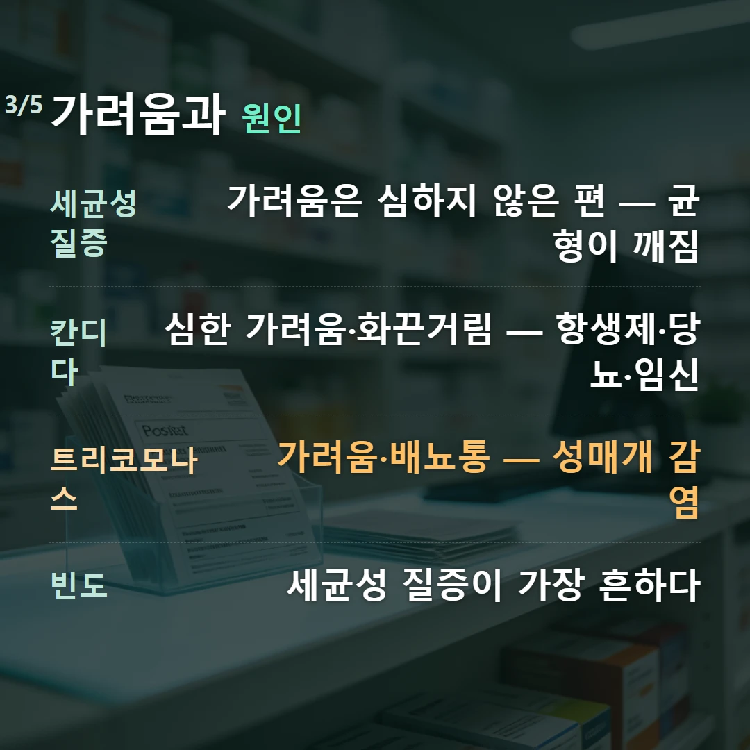 가려움과 원인 — 세균성 질증 가려움은 심하지 않은 편 — 균형이 깨짐, 칸디다 심한 가려움·화끈거림 — 항생제·당뇨·임신, 트리코모나스 가려움·배뇨통 — 성매개 감염, 빈도 세균성 질증이 가장 흔하다