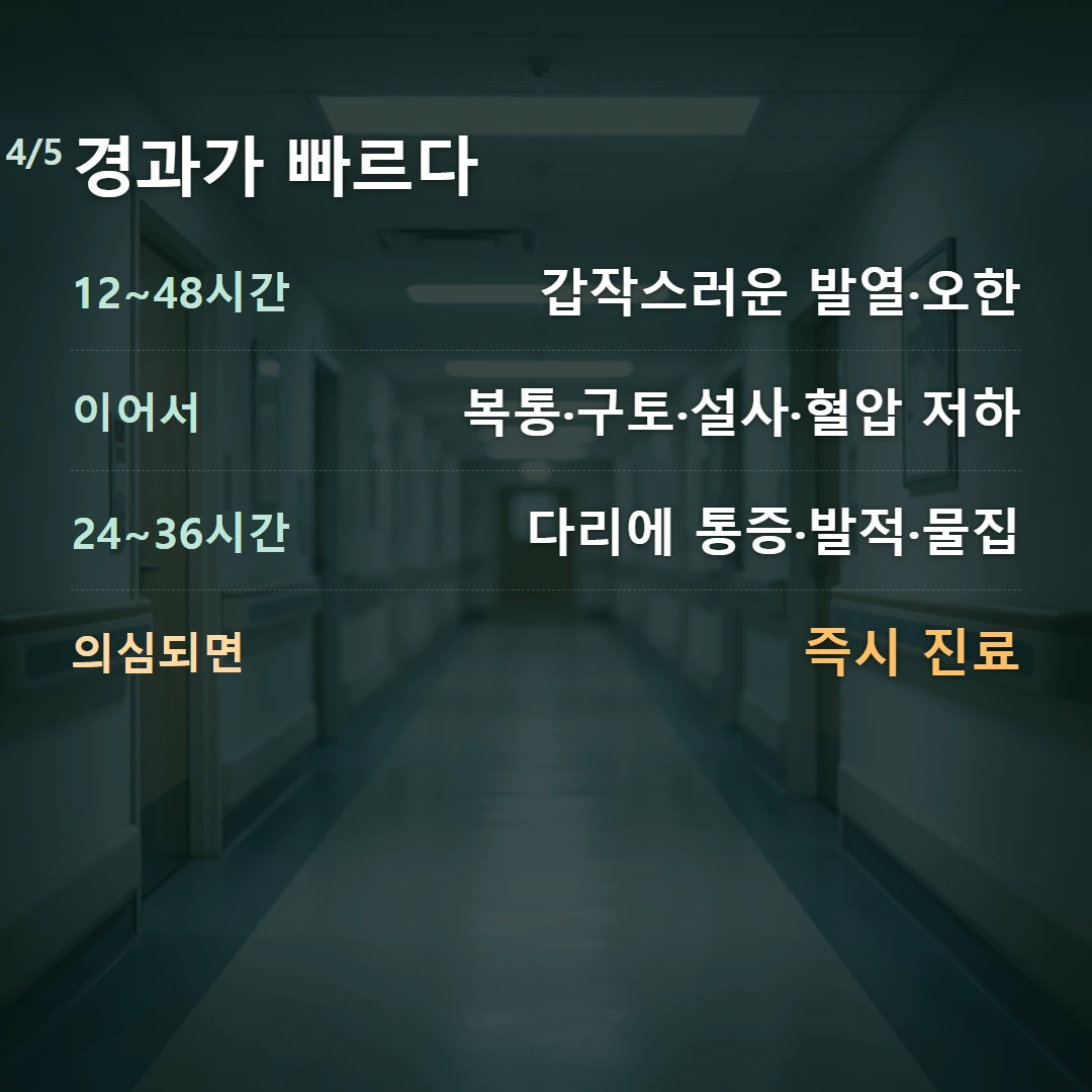 경과가 빠르다 — 12~48시간 갑작스러운 발열·오한, 이어서 복통·구토·설사·혈압 저하, 24~36시간 다리에 통증·발적·물집, 의심되면 즉시 진료