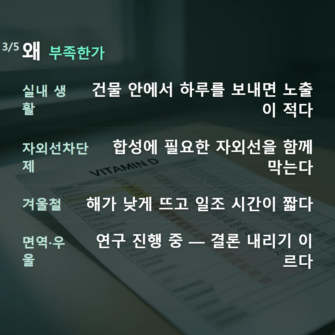 왜 부족한가 — 실내 생활 건물 안에서 하루를 보내면 노출이 적다, 자외선차단제 합성에 필요한 자외선을 함께 막는다, 겨울철 해가 낮게 뜨고 일조 시간이 짧다, 면역·우울 연구 진행 중 — 결론 내리기 이르다