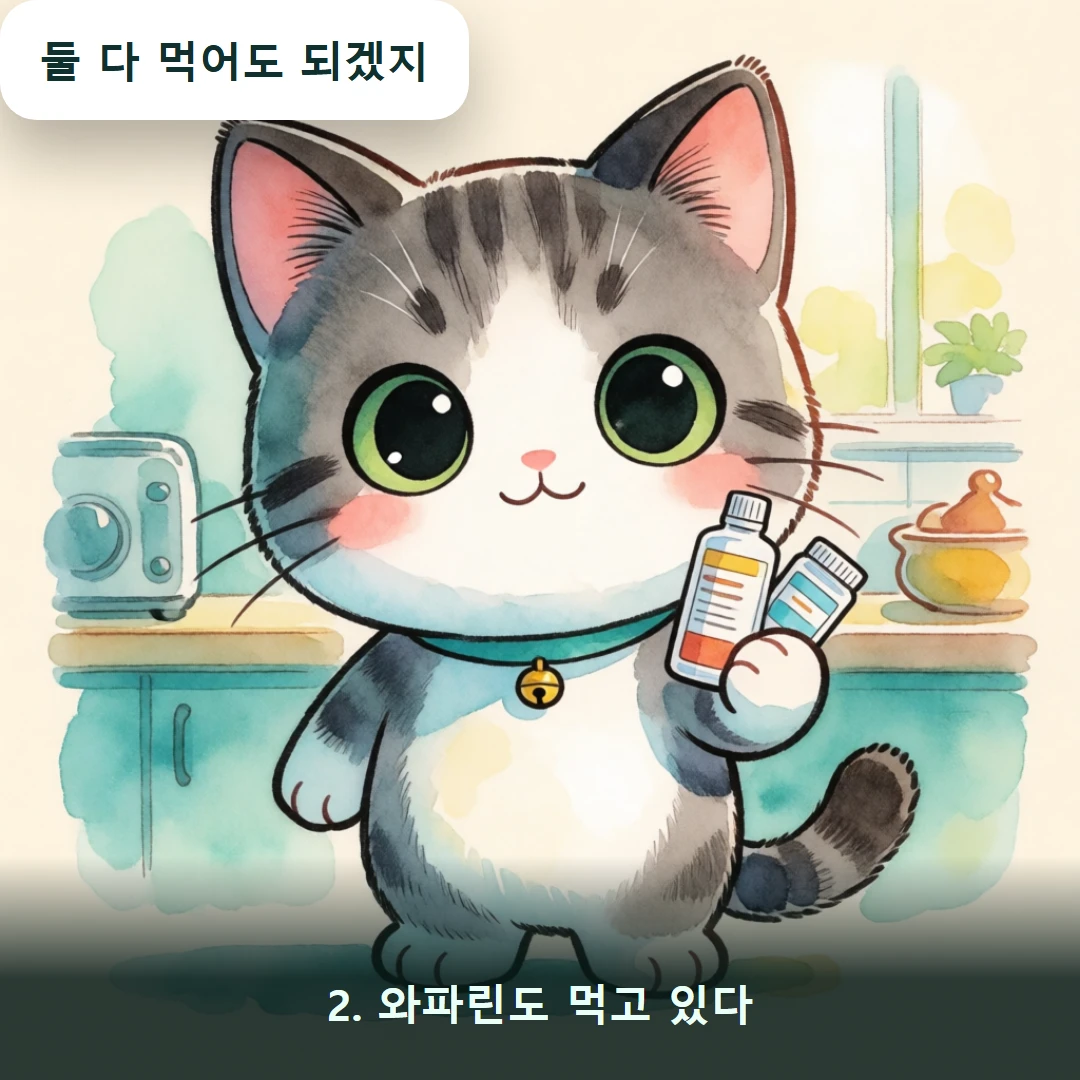 웹툰 2컷 — 2. 와파린도 먹고 있다 (둘 다 먹어도 되겠지)