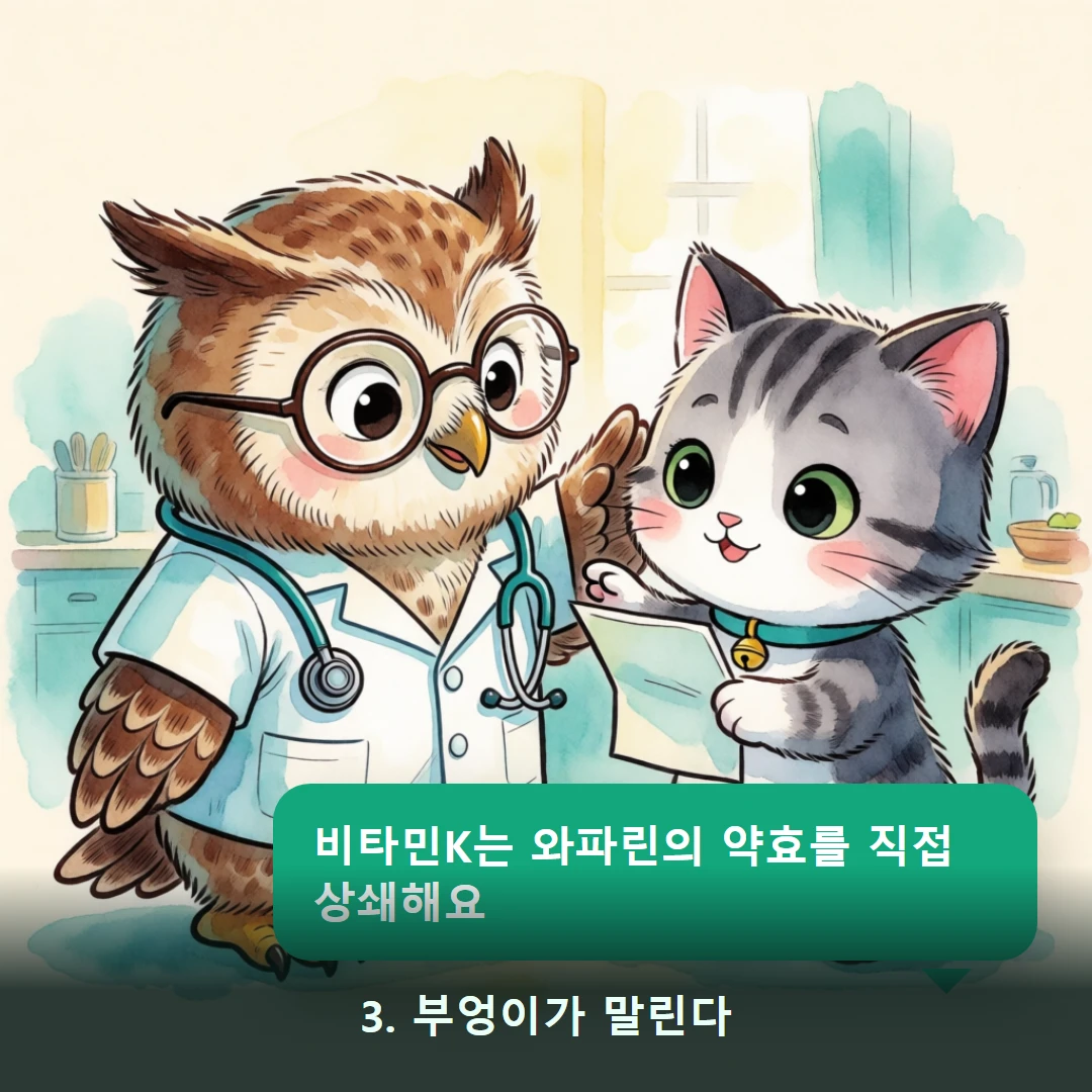 웹툰 3컷 — 3. 부엉이가 말린다 (비타민K는 와파린의 약효를 직접 상쇄해요)