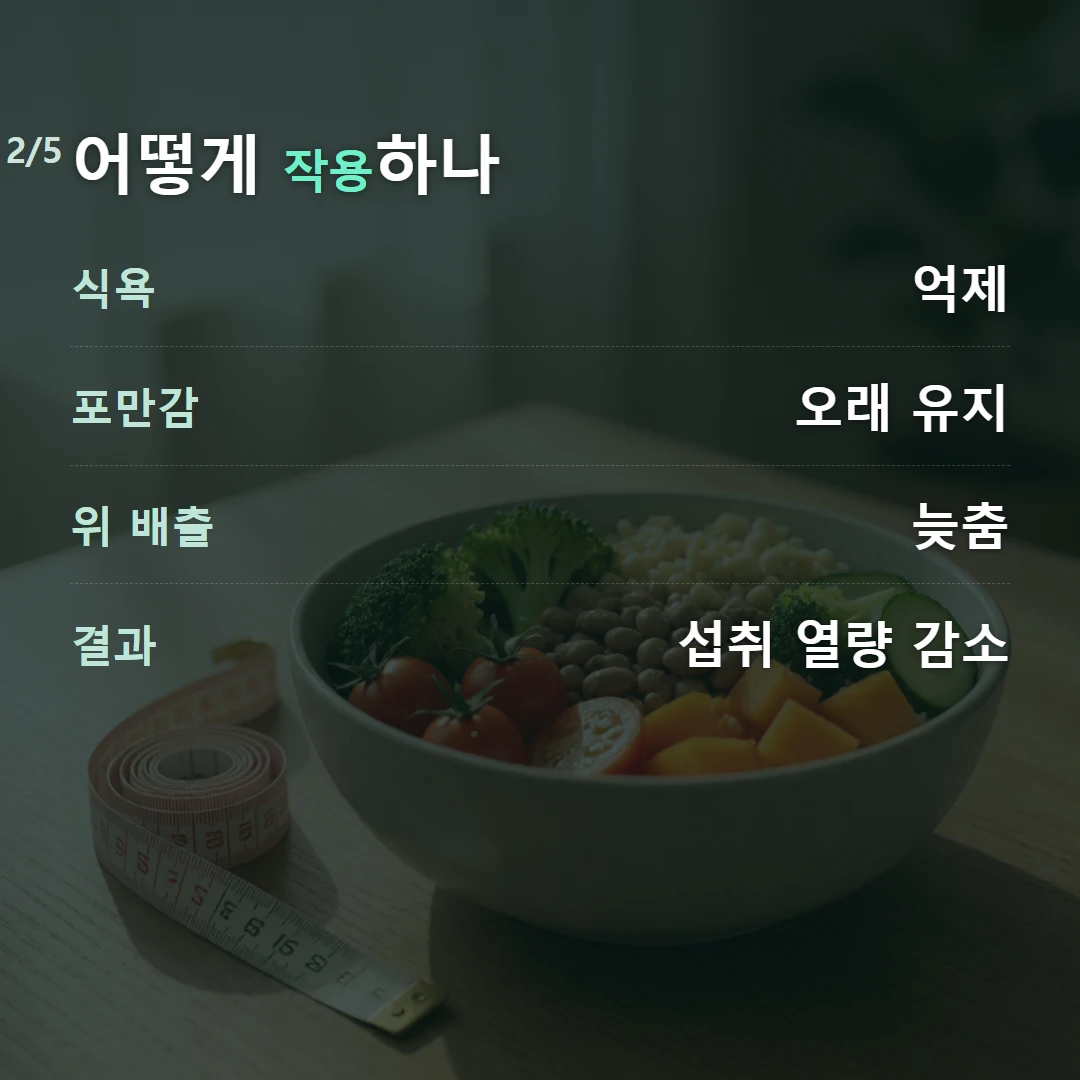 어떻게 작용하나 — 식욕 억제, 포만감 오래 유지, 위 배출 늦춤, 결과 섭취 열량 감소