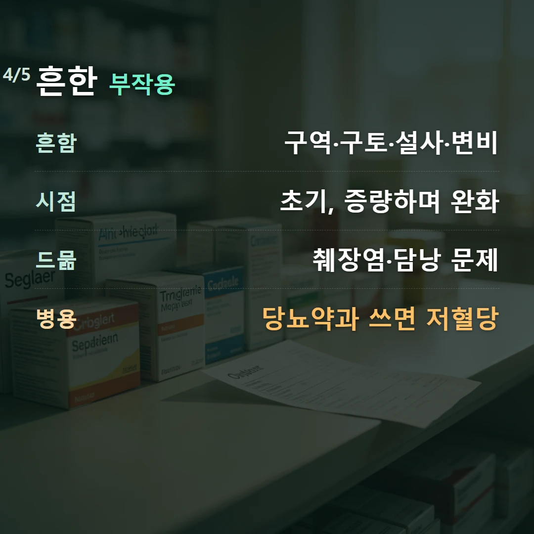 흔한 부작용 — 흔함 구역·구토·설사·변비, 시점 초기, 증량하며 완화, 드묾 췌장염·담낭 문제, 병용 당뇨약과 쓰면 저혈당