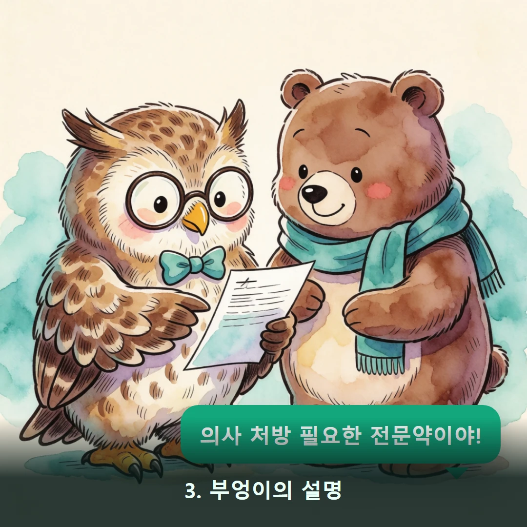 웹툰 3컷 — 3. 부엉이의 설명 (의사 처방 필요한 전문약이야!)