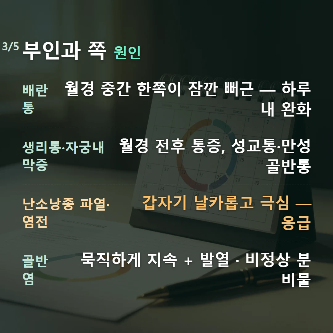 부인과 쪽 원인 — 배란통 월경 중간 한쪽이 잠깐 뻐근 — 하루 내 완화, 생리통·자궁내막증 월경 전후 통증, 성교통·만성 골반통, 난소낭종 파열·염전 갑자기 날카롭고 극심 — 응급, 골반염 묵직하게 지속 + 발열 · 비정상 분비물