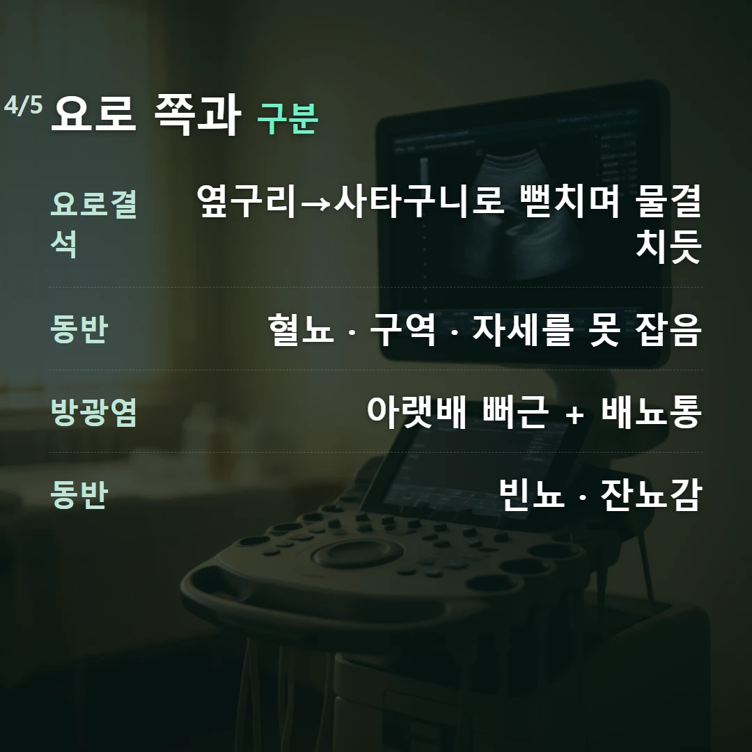 요로 쪽과 구분 — 요로결석 옆구리→사타구니로 뻗치며 물결치듯, 동반 혈뇨 · 구역 · 자세를 못 잡음, 방광염 아랫배 뻐근 + 배뇨통, 동반 빈뇨 · 잔뇨감