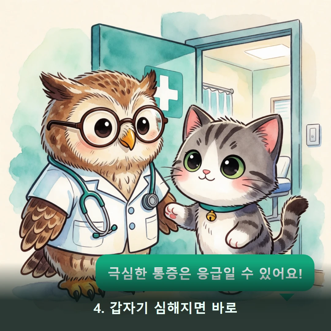 웹툰 4컷 — 4. 갑자기 심해지면 바로 (극심한 통증은 응급일 수 있어요!)