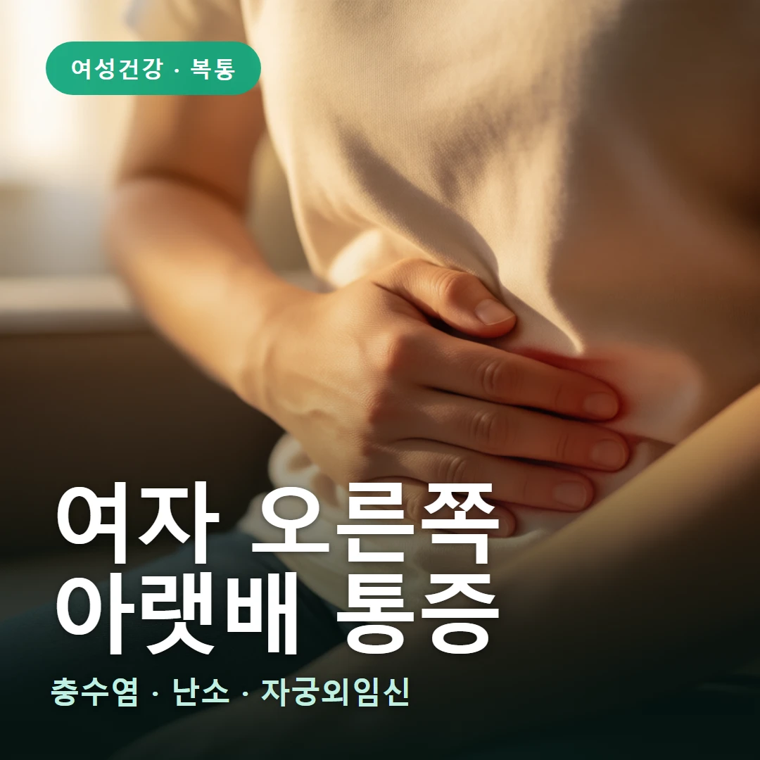 여자 오른쪽 아랫배 통증 요약 표지 — 충수염 · 난소 · 자궁외임신