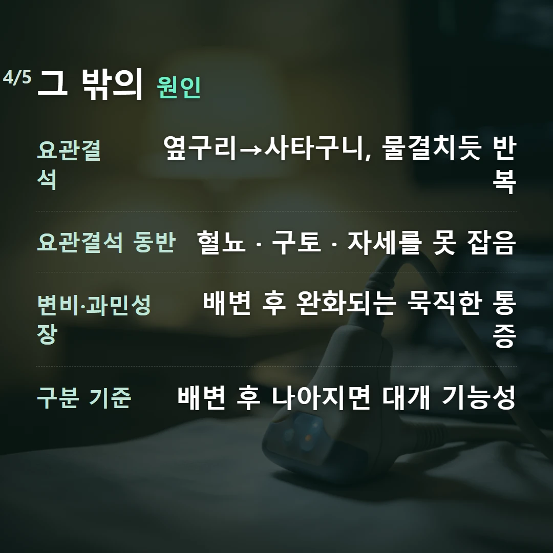 그 밖의 원인 — 요관결석 옆구리→사타구니, 물결치듯 반복, 요관결석 동반 혈뇨 · 구토 · 자세를 못 잡음, 변비·과민성장 배변 후 완화되는 묵직한 통증, 구분 기준 배변 후 나아지면 대개 기능성
