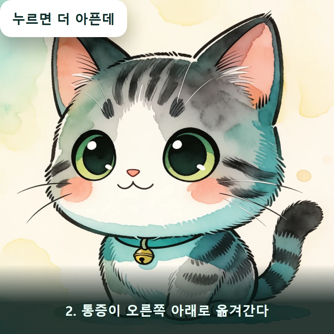 웹툰 2컷 — 2. 통증이 오른쪽 아래로 옮겨간다 (누르면 더 아픈데)