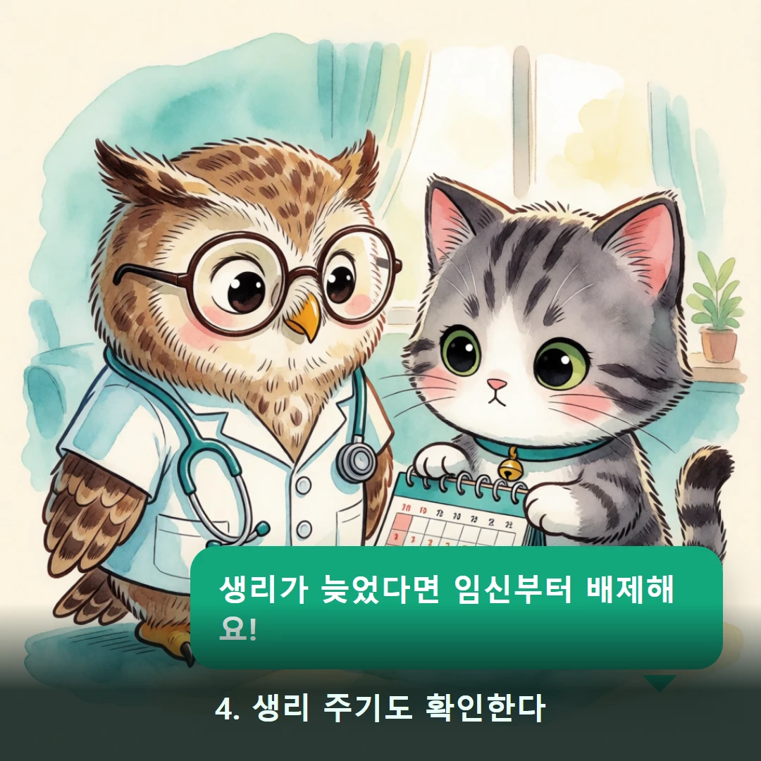 웹툰 4컷 — 4. 생리 주기도 확인한다 (생리가 늦었다면 임신부터 배제해요!)